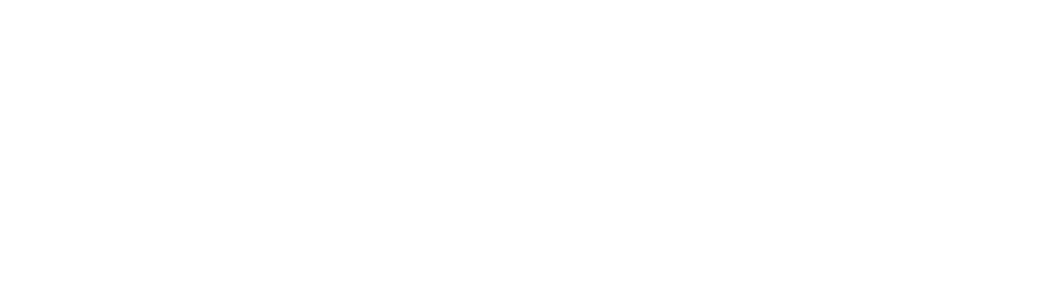 logo_pluriservices